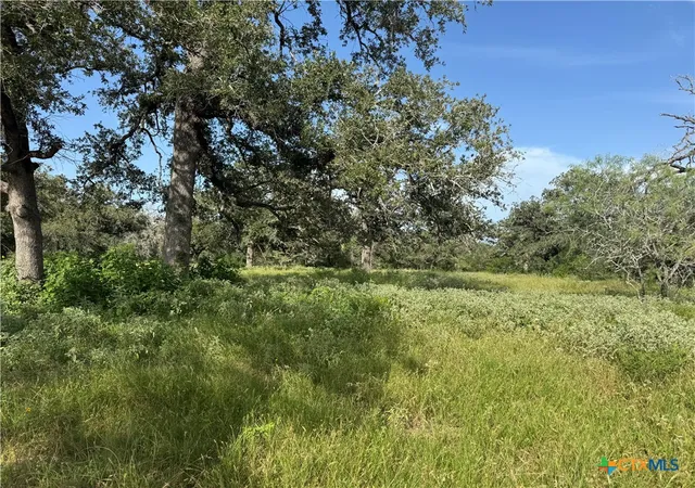 Photo 4 of House for sale at 0 Batey Ranch Rd, Nixon, TX 78140 | MLS# 620257 | Listing updated on 2026-08-19