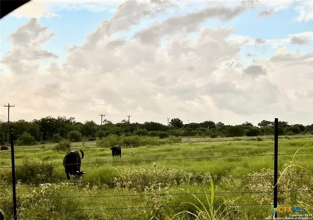 Photo 2 of Land for sale at 2118 County Rd 421, Stockdale, TX 78160 | MLS# 620737 | Listing updated on 2026-10-04