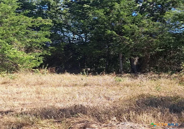 Photo 2 of Land for sale at 6077 Us 77 Hwy, Rockdale, TX 76567 | MLS# 620990 | Listing updated on 2026-09-03