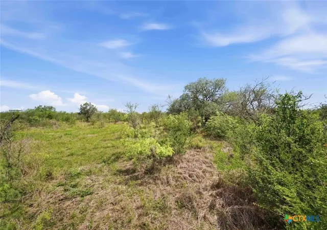Photo 3 of Sale Pending at 119 Machicek Rd, Goliad, TX 77963 | MLS# 620965 | Listing updated on 2026-09-22