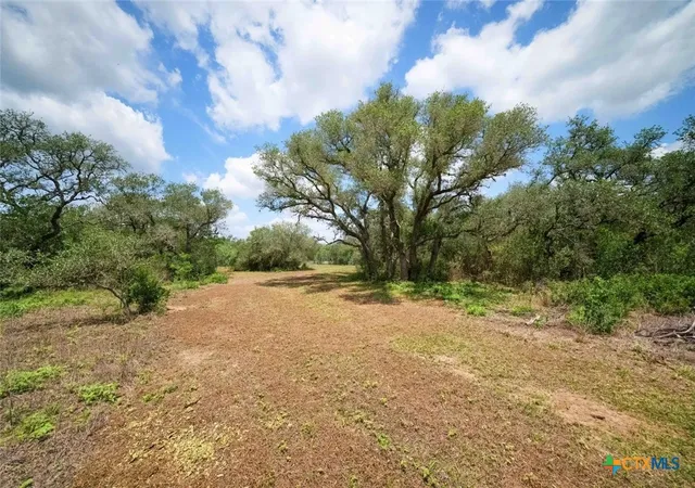 Photo 3 of Sale Pending at 317 Machicek Rd, Goliad, TX 77963 | MLS# 620922 | Listing updated on 2026-09-08