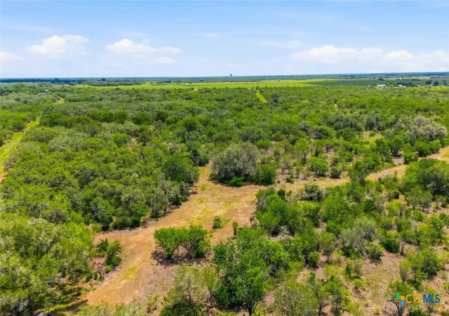 Photo 4 of Sale Pending at 317 Machicek Rd, Goliad, TX 77963 | MLS# 620922 | Listing updated on 2026-09-08