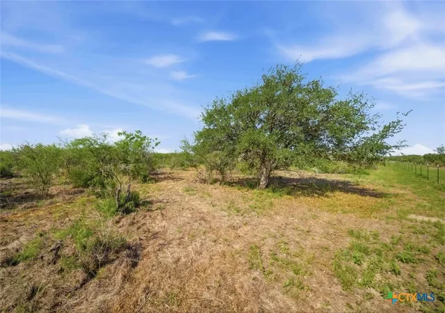 Photo 4 of Sale Pending at 62 D Machicek Rd, Goliad, TX 77963 | MLS# 620996 | Listing updated on 2026-09-22