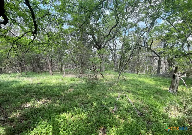 Photo 4 of Land for sale at Tbd Piedras Pass, San Marcos, TX 78666 | MLS# 621446 | Listing updated on 2026-08-03