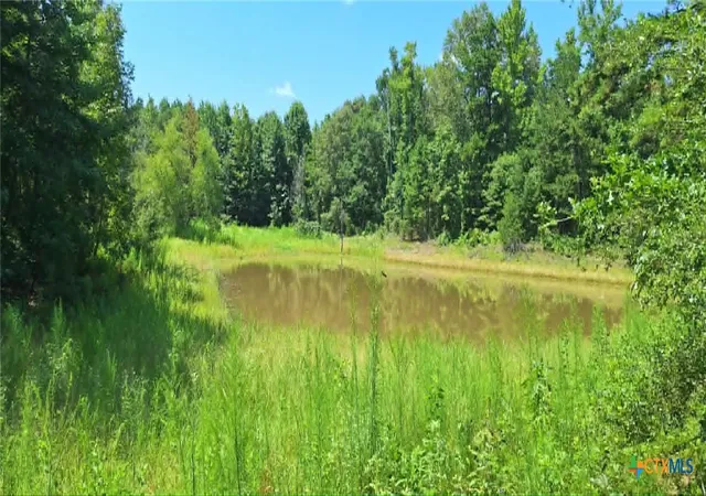 Land for sale at Tbd Red Maple Rd, Big Sandy, TX 75755 | MLS# 621672