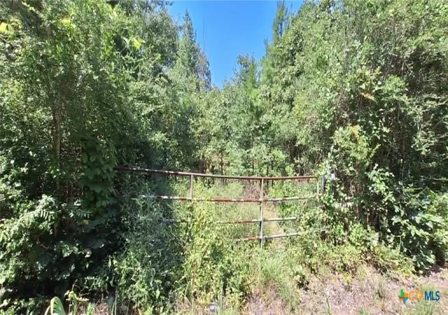 Photo 2 of Land for sale at Tbd Red Maple Rd, Big Sandy, TX 75755 | MLS# 621672 | Listing updated on 2026-08-18
