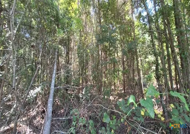 Photo 34 of Land for sale at Tbd Red Maple Rd, Big Sandy, TX 75755 | MLS# 621672 | Listing updated on 2026-08-18