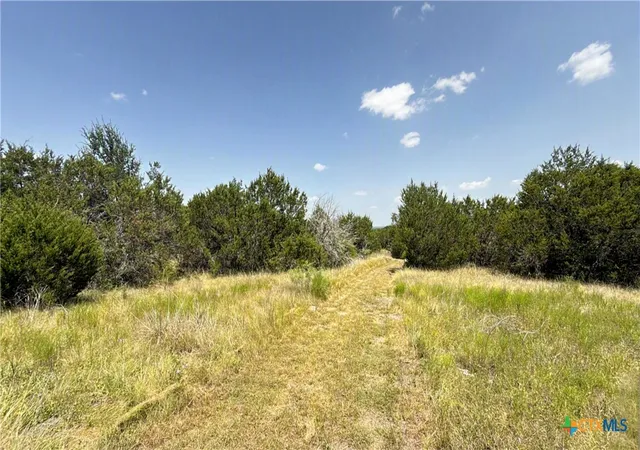 Photo 3 of Land for sale at Tbd South Hwy 281, Evant, TX 76525 | MLS# 621782 | Listing updated on 2026-08-06