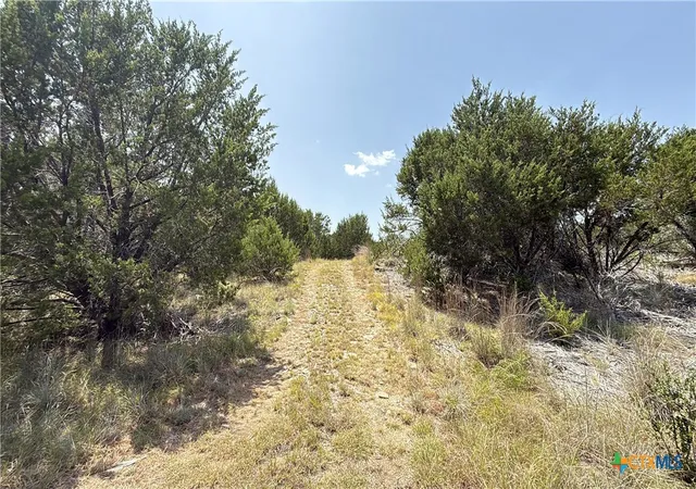 Photo 4 of Land for sale at Tbd South Hwy 281, Evant, TX 76525 | MLS# 621782 | Listing updated on 2026-08-06
