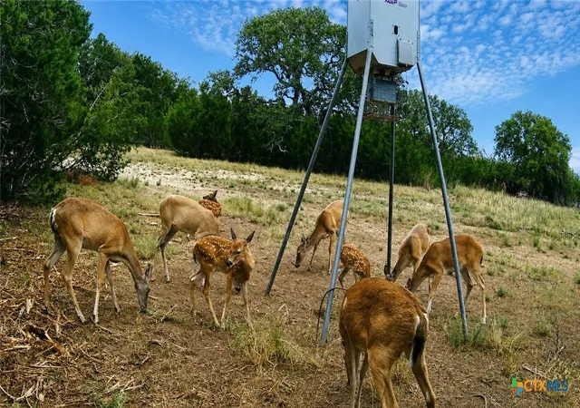 Photo 3 of Land for sale at 736 Cr 206, Lampasas, TX 76550 | MLS# 621788 | Listing updated on 2026-08-06