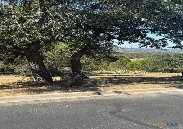 Photo 3 of Land for sale at 1279 Kings Cvs Dr, Canyon Lake, TX 78133 | MLS# 621802 | Listing updated on 2026-08-10