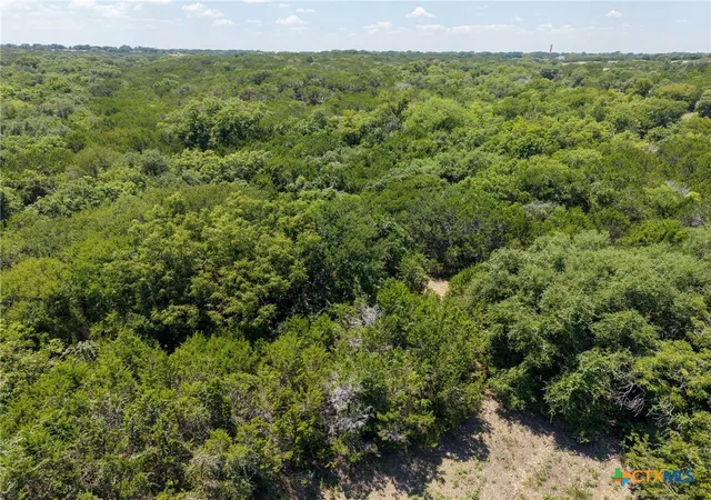 Photo 3 of Land for sale at Tbd Greenbriar Rd, Gatesville, TX 76528 | MLS# 621221 | Listing updated on 2026-08-10