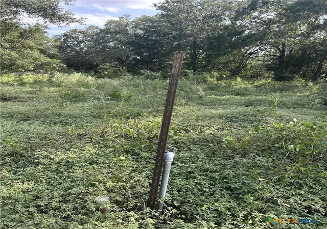 Photo 3 of Land for sale at 240 Private Rd 4601, Waelder, TX 78959 | MLS# 621889 | Listing updated on 2026-08-26