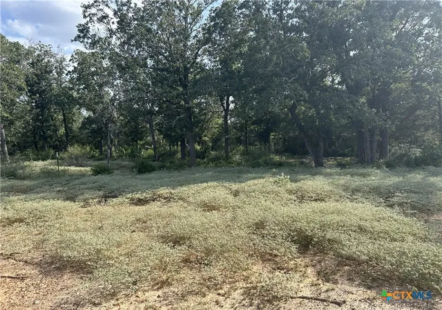 Photo 4 of Land for sale at 240 Private Rd 4601, Waelder, TX 78959 | MLS# 621889 | Listing updated on 2026-08-26