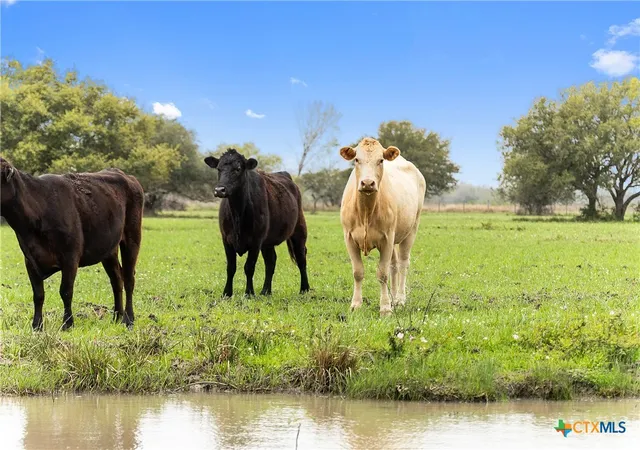Photo 2 of Land for sale at 778 County Rd 123, Edna, TX 77957 | MLS# 621938 | Listing updated on 2026-08-07