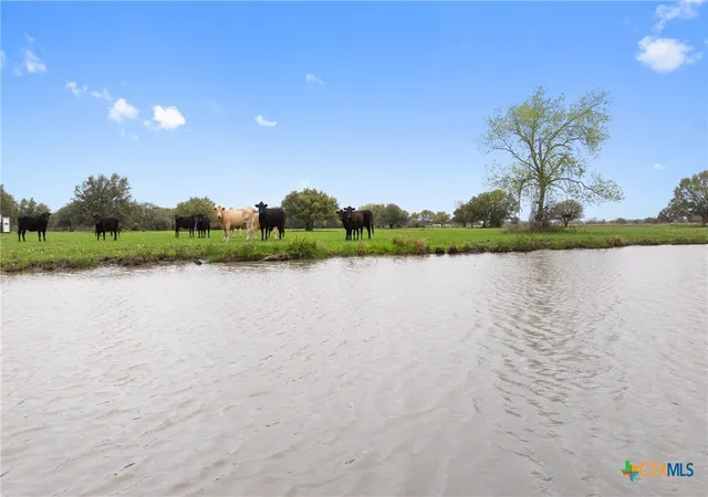 Photo 4 of House for sale at 778 County Rd 123, Edna, TX 77957 | MLS# 621938 | Listing updated on 2026-08-07