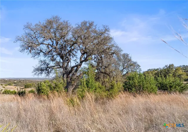 Photo 3 of Land for sale at 328 Cypress View Dr, Johnson City, TX 78636 | MLS# 621939 | Listing updated on 2026-08-07