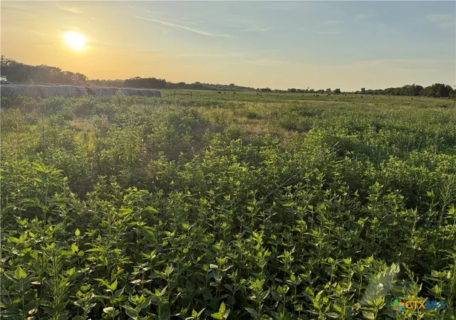 Photo 1 of Land for sale at 153 County Rd 243, Kosse, TX 76653 | MLS# 621731 | Listing updated on 2026-08-07