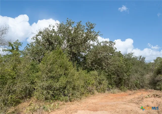 Photo 4 of House for sale at 3695 East Hwy 97, Gonzales, TX 78629 | MLS# 622135 | Listing updated on 2026-09-01