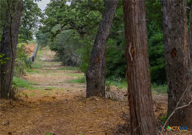 Photo 2 of Land for sale at Tbd Stiewert Ln, Paige, TX 78659 | MLS# 622245 | Listing updated on 2026-08-11