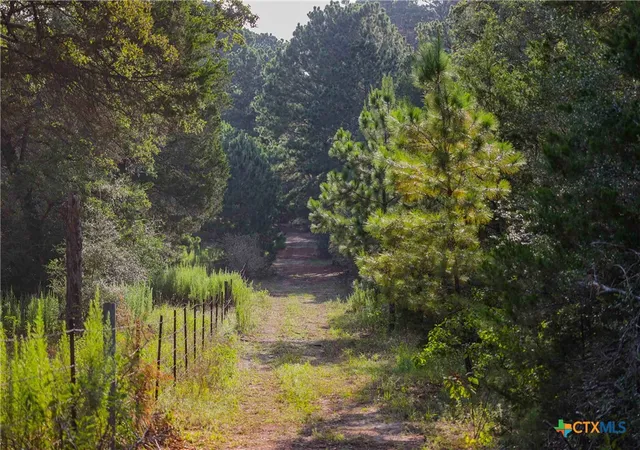 Photo 3 of Land for sale at Tbd Stiewert Ln, Paige, TX 78659 | MLS# 622245 | Listing updated on 2026-08-11