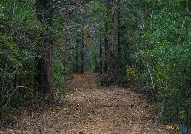 Photo 3 of Land for sale at Tbd Stiewert Ln, Paige, TX 78659 | MLS# 622245 | Listing updated on 2026-08-11