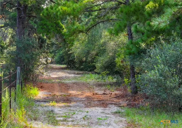 Photo 4 of Land for sale at Tbd Stiewert Ln, Paige, TX 78659 | MLS# 622245 | Listing updated on 2026-08-11