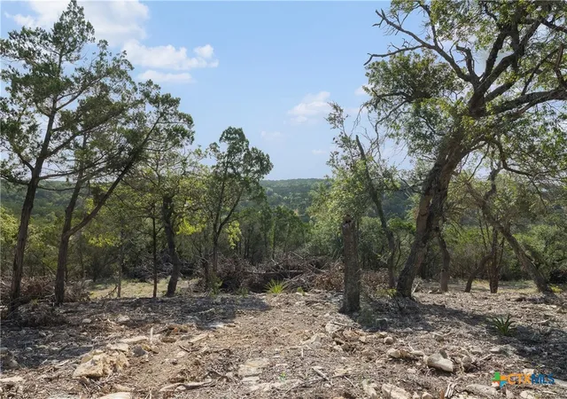 Land for sale at Tract 4 Mount Olive School Rd, Wimberley, TX 78676 | MLS# 622361
