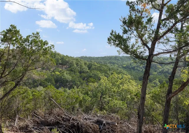 Photo 2 of Land for sale at Tract 4 Mount Olive School Rd, Wimberley, TX 78676 | MLS# 622361 | Listing updated on 2026-09-14