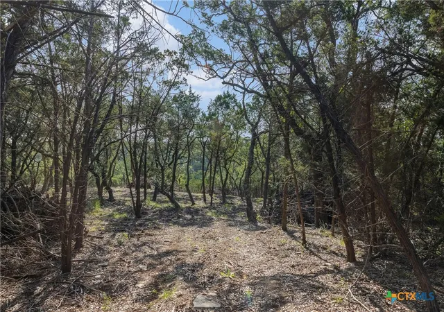 Photo 3 of House for sale at Tract 4 Mount Olive School Rd, Wimberley, TX 78676 | MLS# 622361 | Listing updated on 2026-09-14