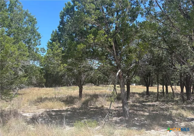 Photo 2 of Land for sale at 219 County Rd 4360, Lampasas, TX 76550 | MLS# 622608 | Listing updated on 2026-09-15