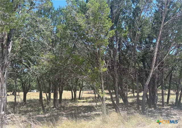 Photo 2 of Land for sale at 219 County Rd 4360, Lampasas, TX 76550 | MLS# 622608 | Listing updated on 2026-08-13