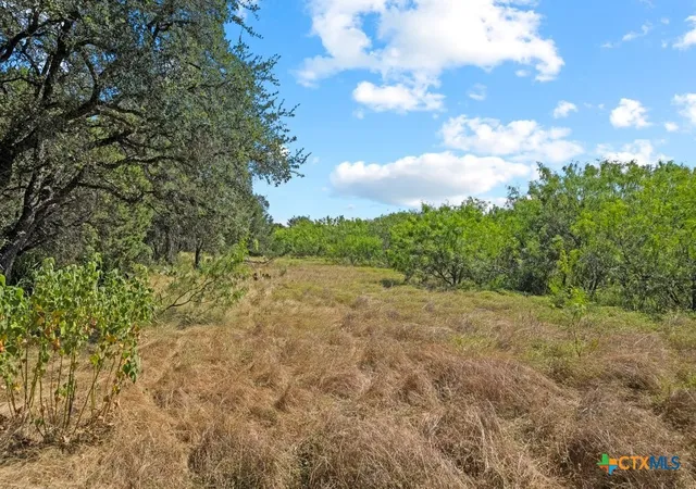 Photo 3 of Land for sale at 831 Ayers Rock Rd, New Braunfels, TX 78132 | MLS# 622728 | Listing updated on 2026-08-14