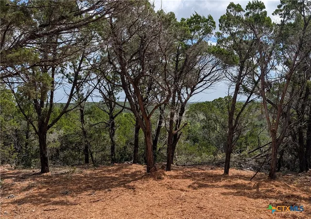 Photo 3 of Land for sale at 00 Mountain Top Cir, Jonestown, TX 78645 | MLS# 622597 | Listing updated on 2026-08-17