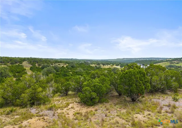 Photo 4 of Land for sale at 195 Lilly Belle Way, Blanco, TX 78606 | MLS# 622856 | Listing updated on 2026-08-17
