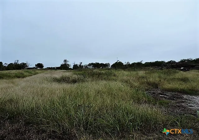 Photo 3 of Land for sale at 000 S Lee, Westhoff, TX 77994 | MLS# 623084 | Listing updated on 2026-08-19
