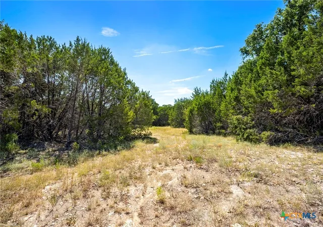 Photo 3 of Land for sale at Tbd Cr 142, Gatesville, TX 76528 | MLS# 623384 | Listing updated on 2026-08-22