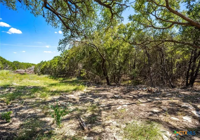 Photo 4 of Land for sale at Tbd Cr 142, Gatesville, TX 76528 | MLS# 623384 | Listing updated on 2026-08-22