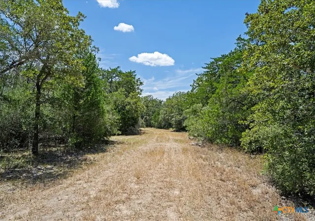 Photo 3 of Land for sale at 3750 Fm 2237, Flatonia, TX 78941 | MLS# 623155 | Listing updated on 2026-08-24