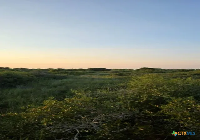 Photo 4 of Land for sale at 000 Carbajal Rd #Tract 1547, Seadrift, TX 77983 | MLS# 623660 | Listing updated on 2026-08-27