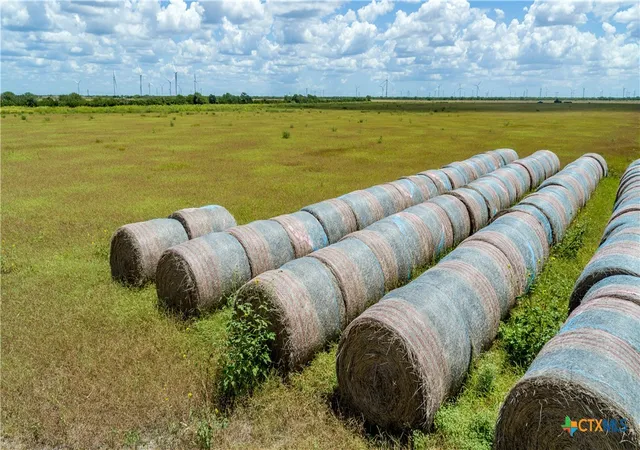 Photo 1 of Land for sale at 0 County Road 647, Mathis, TX 78368 | MLS# 623778 | Listing updated on 2026-08-27