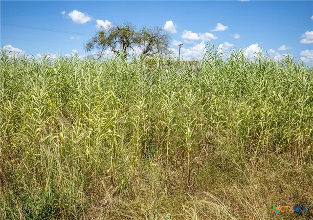 Photo 45 of Land for sale at 0 County Road 647, Mathis, TX 78368 | MLS# 623778 | Listing updated on 2026-08-27