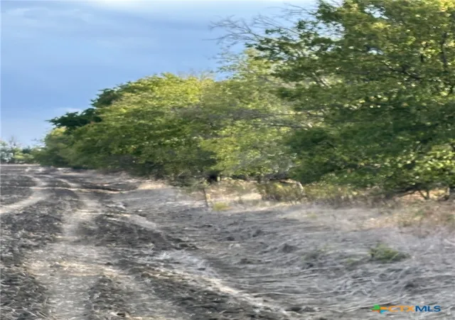 Photo 2 of Land for sale at Tbd Cr 451, Lott, TX 76656 | MLS# 623784 | Listing updated on 2026-08-27