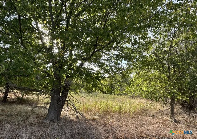 Photo 3 of House for sale at Tbd Cr 451, Lott, TX 76656 | MLS# 623784 | Listing updated on 2026-08-27