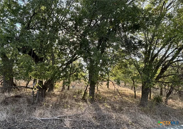Photo 4 of House for sale at Tbd Cr 451, Lott, TX 76656 | MLS# 623784 | Listing updated on 2026-08-27