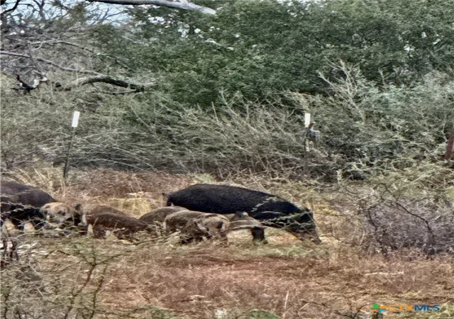 Photo 2 of Land for sale at 5711 Fm 765, San Saba, TX 76872 | MLS# 623821 | Listing updated on 2026-08-27