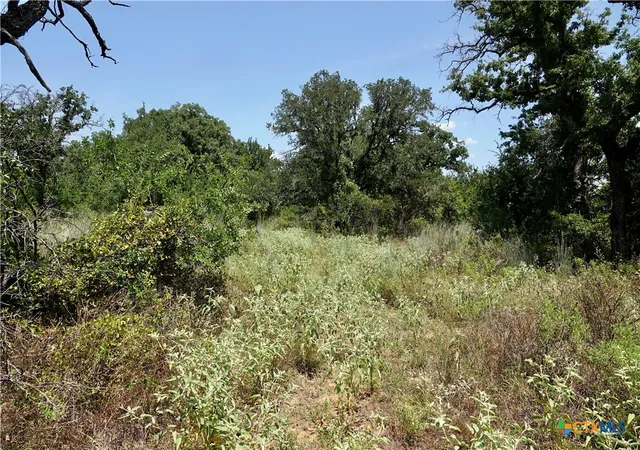 Photo 37 of Land for sale at 5711 Fm 765, San Saba, TX 76872 | MLS# 623821 | Listing updated on 2026-08-27