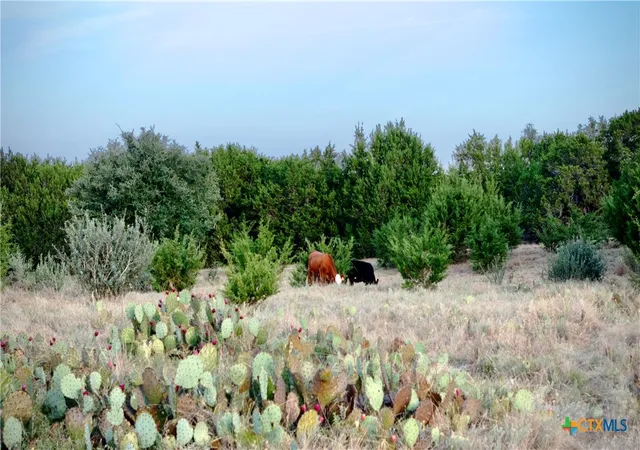 Photo 2 of Land for sale at Lot 2A Private Road 1240, Lampasas, TX 76550 | MLS# 623829 | Listing updated on 2026-08-28