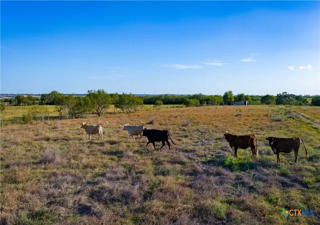 Photo 3 of Sale Pending at 2850 Bylerpool Rd, Kingsbury, TX 78638 | MLS# 623741 | Listing updated on 2026-09-04