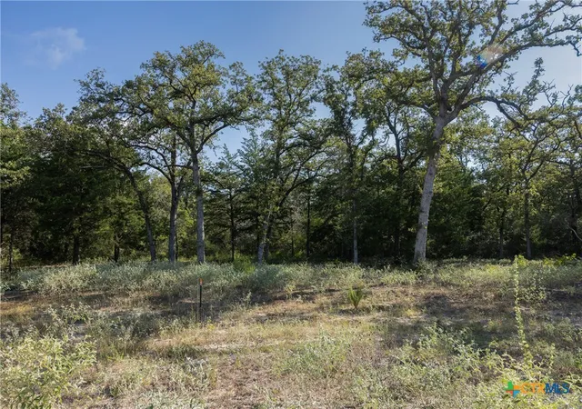 Land for sale at 180 Autumn Oak Ct, Caldwell, TX 77836 | MLS# 623845
